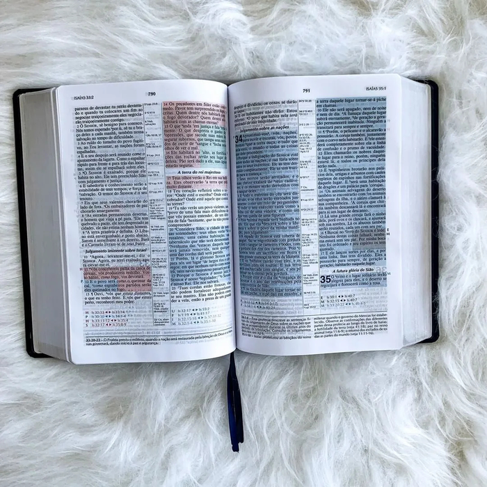 Bíblia Jeffrey de Estudos Proféticos BKJ 1611 | Dr. Grant R. Jeffrey | Escatologia e Fim dos Tempos