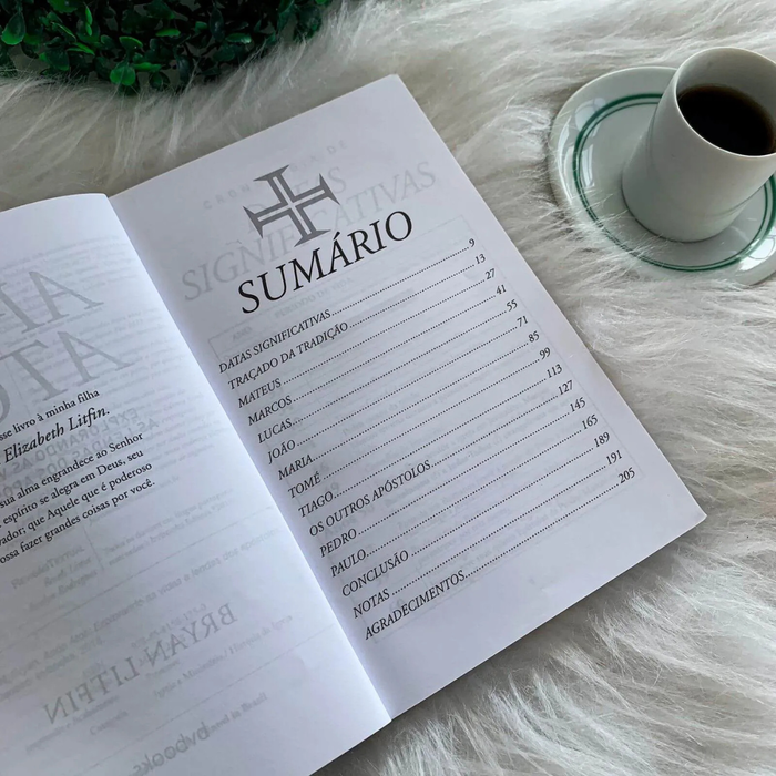 Após Atos - Bryan Litfin | O Que Aconteceu com os Apóstolos e a Igreja Primitiva