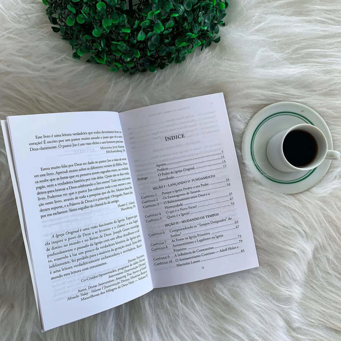 Após Atos - Bryan Litfin | O Que Aconteceu com os Apóstolos e a Igreja Primitiva