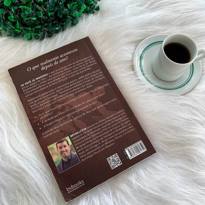 Após Atos - Bryan Litfin | O Que Aconteceu com os Apóstolos e a Igreja Primitiva